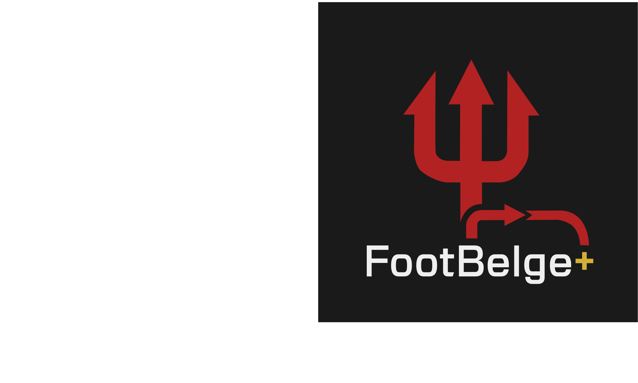 Identité du projet FootBelge+
